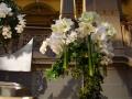 Fleurs 2.jpg Fleurs 2.jpg